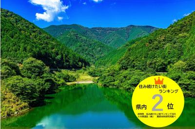 移住定住サイト