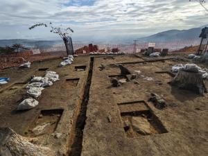 昨年度の調査の様子